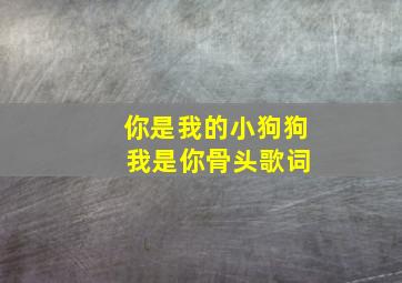 你是我的小狗狗 我是你骨头歌词